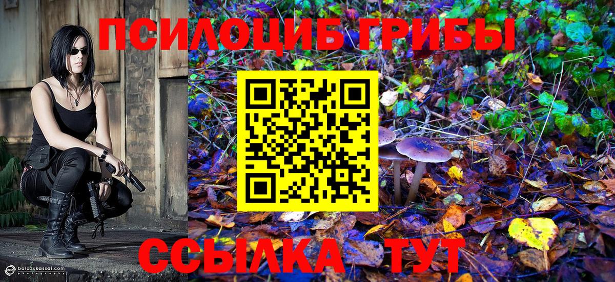 Псилоцибиновые грибы GOLDEN TEACHER Мегион