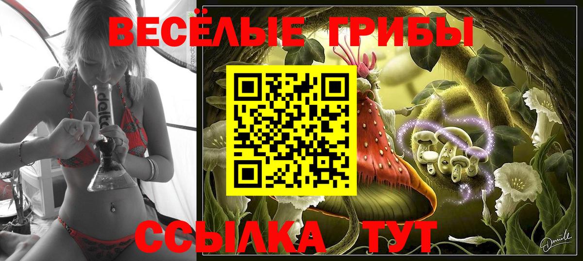 Псилоцибиновые грибы Psilocybe  Псилоцибиновые грибы ЛСД  Вход с VPN  Мегион 